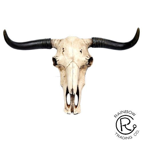 western cowboy skull